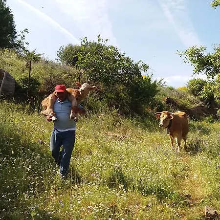 Vakantieboerderij Fontanarossa Cerda