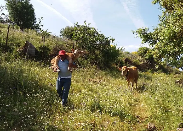 Alloggio per agriturismo Fontanarossa Cerda